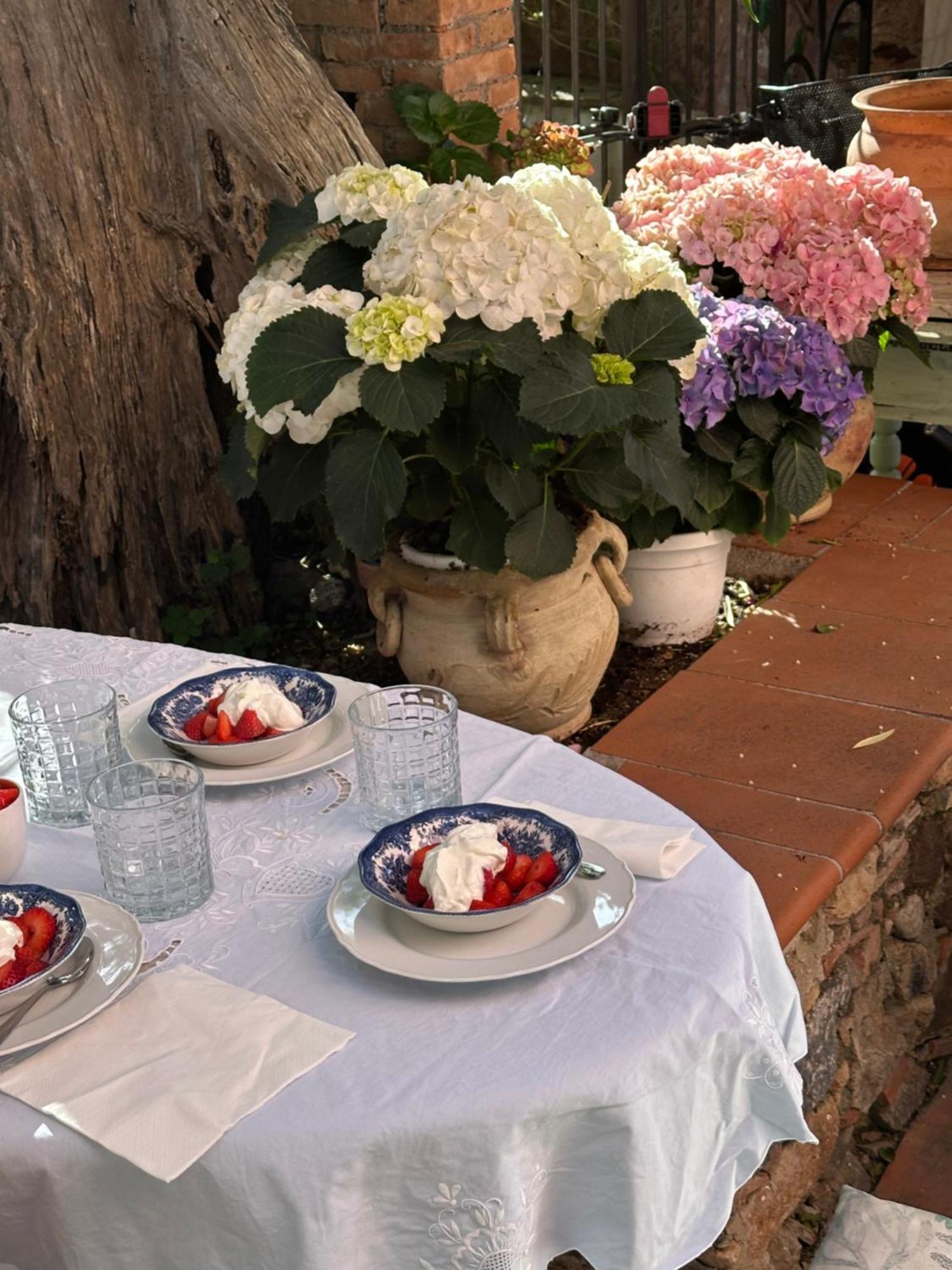 Bed & Breakfast La Bergerie